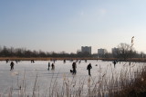 IMG_5672.JPG