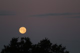 IMG_7143.JPG
