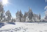 IMG_7606.JPG
