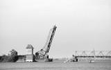 IMG_MA249.jpg