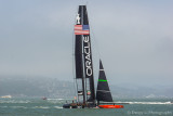 DSC02537.jpg