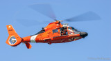 IB3Q9585.jpg