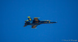 IB3Q9851.jpg