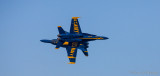 IB3Q0174.jpg