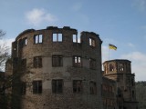 Le drapeau de la ville d'Heidelberg flotte fièrement