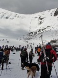 Tuckerman Ravine 4/12/14