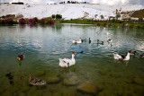 IMG_5593W.jpg