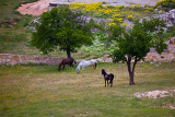 IMG_6297W.jpg