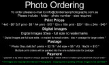 Kiara College Photo Ordering.jpg