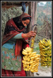 selling bananas by the roadside