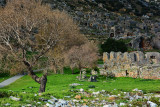 Anemurium necropolis