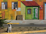 colourful murals