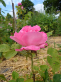 DSC08760.JPG