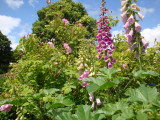 DSC08795.JPG