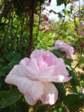 DSC08839.JPG