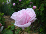 DSC08959.JPG