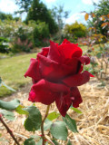 DSC09224.JPG