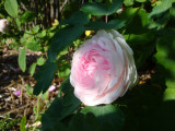DSC09295.JPG