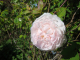 DSC09296.JPG