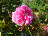 DSC09320.JPG