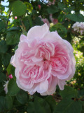 DSC09373.JPG