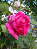 DSC09390.JPG