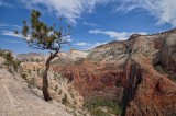 clinging to the edge