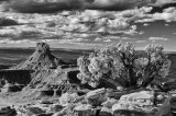 Panorama Point, Canyonlands.