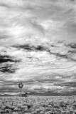 Near Four Corners