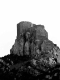 Quribus