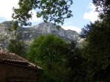 Montagnes des Cvennes