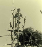 Pierre et la construction de la cabane