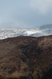 DSC_4203.jpg