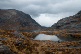 DSC_4525.jpg