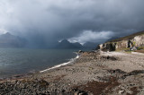DSC_4610.jpg