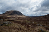 DSC_4704.jpg