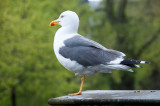 DSC_4738.jpg