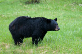 DSC_7746.jpg