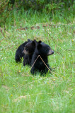 DSC_7773.jpg