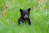 DSC_7795.jpg