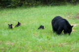 DSC_7815.jpg