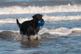 lucy_canvas3-5.jpg