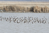 Klamath 2014-189.JPG