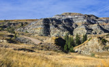_SDP6671.jpg View to the Top