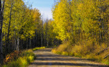 _SDP6803.jpg  ON The Battle Lake Trail