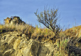 _SDP6966pb.jpg soil erosion
