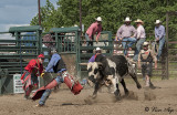 Wetaskiwin Agricultural Society - Rawhide Rodeo: June 2014