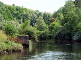 2013 08 19_0646_edited-1.JPG