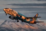 Alaskan Airlines 737