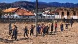 Children helping with harvest